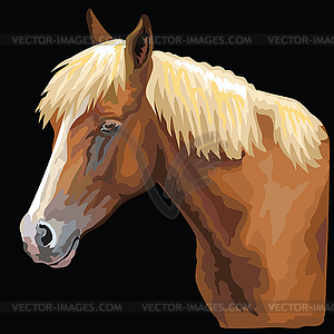 Colorful Horse portrait- - color vector clipart