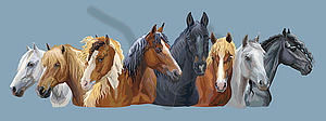 Set of horses breeds  - vector EPS clipart