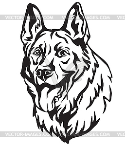 Decorative portrait of Dog Shepherd  - vector clipart