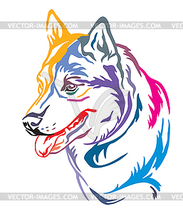 Colorful decorative portrait of Dog Siberian Husky - vector image