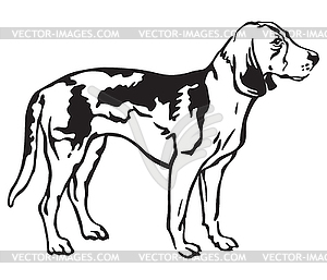 Decorative portrait of Dog Estonian Hound - vector image