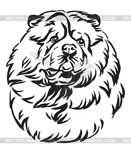 Decorative portrait of Chow Chow Dog - vector image