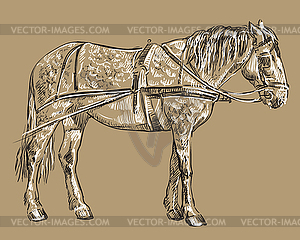 Harness horse - vector clip art