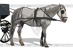 Colorful horse - vector image