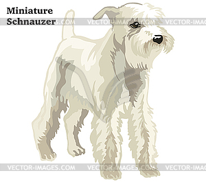Colored decorative standing portrait of Miniature - vector image