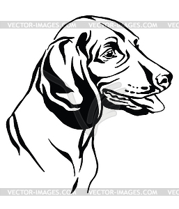 Decorative portrait of Bavarian Mountain Hound - vector clipart