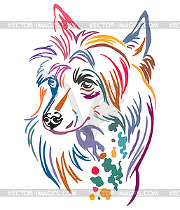 Colorful decorative portrait of Chinese Crested - vector clip art