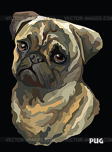 Pug colorful portrait - vector clipart