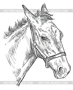 Horse portrait 26 - vector clipart