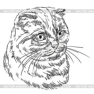 Рука рисунок кота - векторное изображение