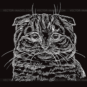 Black cat portrait  - vector clipart