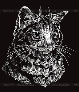 Black cat portrait  - vector clipart