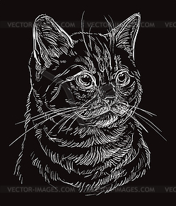 Black cat portrait  - royalty-free vector image