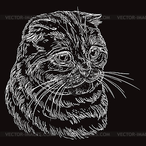 Black cat portrait  - vector clipart