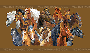 Set of horses - vector clipart