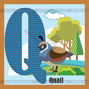 Animal alphabet Q - vector clip art