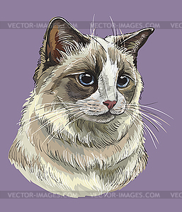 Рука рисунок красочный кот - векторный клипарт