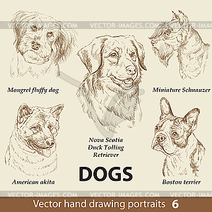 Set of hand drawing dogs  - vector image