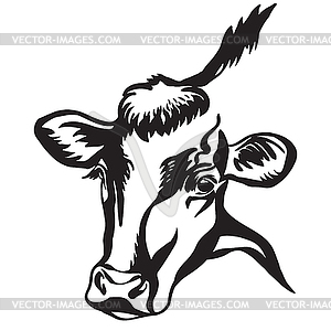 Contour portrait of black bull - vector clipart