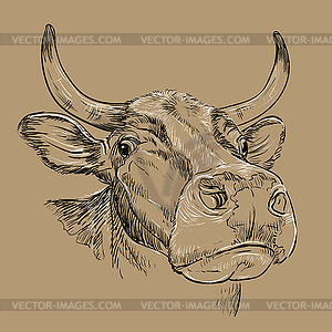 Amusing portrait of bull hand drawing brown - vector clip art