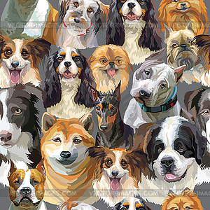 Semless pattern colorful realistic dogs heads - vector image