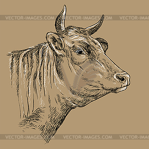 Head of cow hand drawing brown - vector image