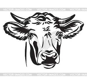 Abstract contour portrait of bull - stock vector clipart