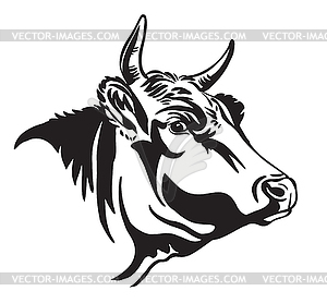 Abstract contour portrait of cow in profile - vector clipart