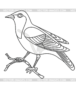 Song bird - vector clip art