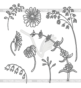 Line art set of meadow flowers - vector image