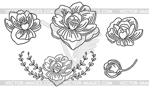 Line art set of peonies flowers - vector clip art