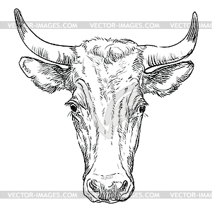 Head of horned bull head - white & black vector clipart