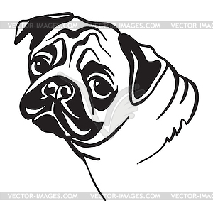 Pug dog - vector clipart