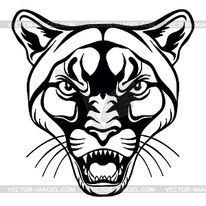 Head of mascot cougar - vector clipart