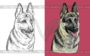 Portrait of cute funny dog German Shepherd - vector image