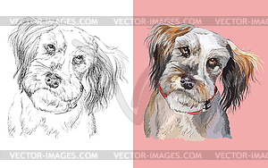 Portrait of cute fluffy dog - vector clipart