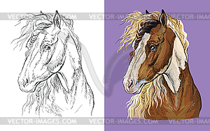 Portrait of pinto horse colorful and monochrome - vector clipart / vector image