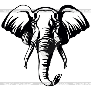 Head of mascot elephant head - white & black vector clipart