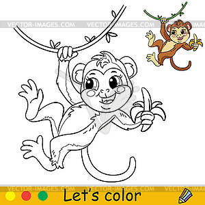 Cartoon cute monkey with banana on liana coloring - color vector clipart