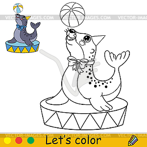 Cartoon cute circus navy seal with ball coloring - vector image