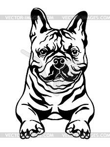 French bulldog black contour portrait - stock vector clipart