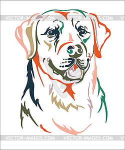 Labrador retriever dog color contour portrait - vector clip art