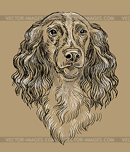 Spaniel dog hand drawing brown - vector image