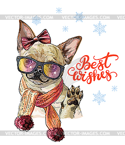 Christmas dog chihuahua - vector clipart / vector image