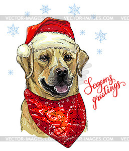 Christmas dog labrador - vector clipart