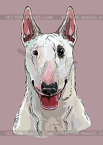 Bull Terrier hand drawing dog color - vector image