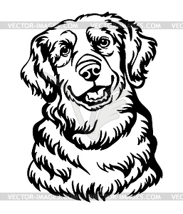 Golden Retriever dog black contour portrait - vector image