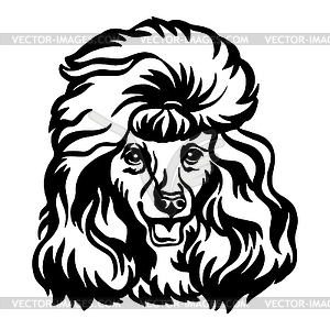 Poodle head dog black contour portrait - vector clip art