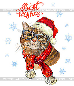 Funny british cat in christmas hat - vector clipart