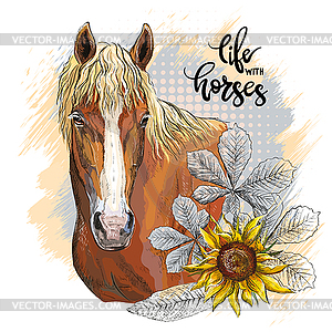 Portrait of horse and sunflower - vector clipart